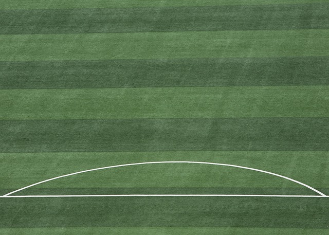 佩佩进入了 佩佩进入了