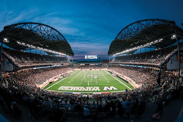 一枝独秀的 一枝独秀的