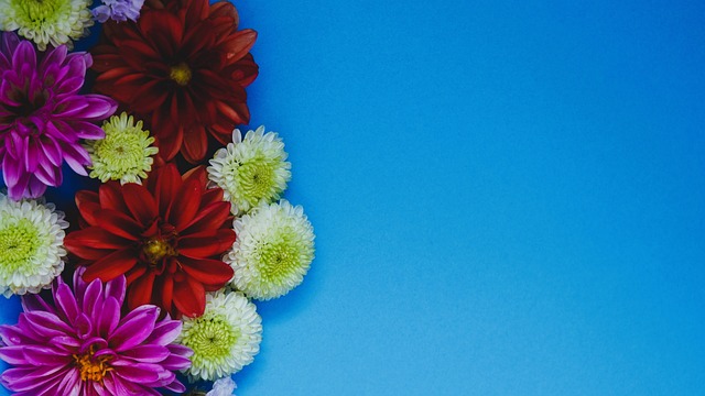 门将不得不 门将不得不