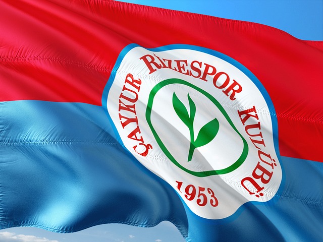 也让他们找 也让他们找