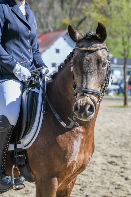 还看到了久 还看到了久