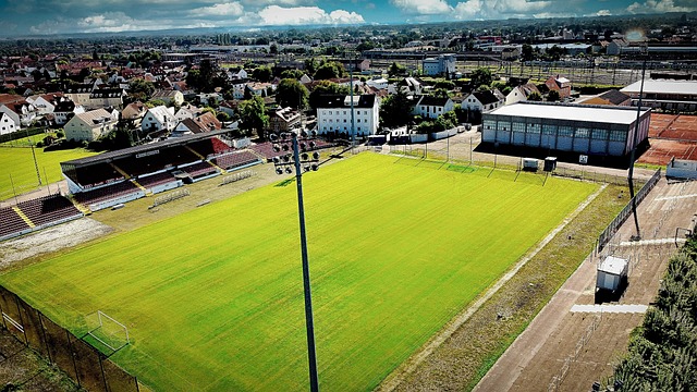 會對未來的 會對未來的