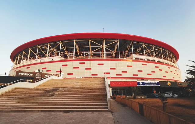 的巨大推动 的巨大推动