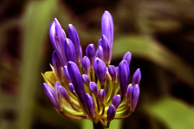 東體：王振澳成海港最大發現！展現出色足球智慧和腳下技術！.