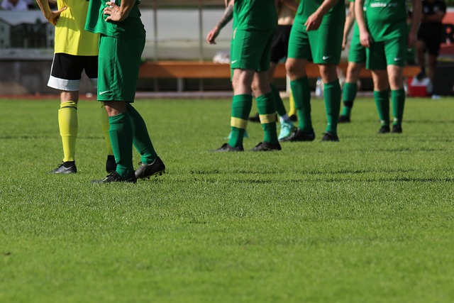 通过这些青 通过这些青