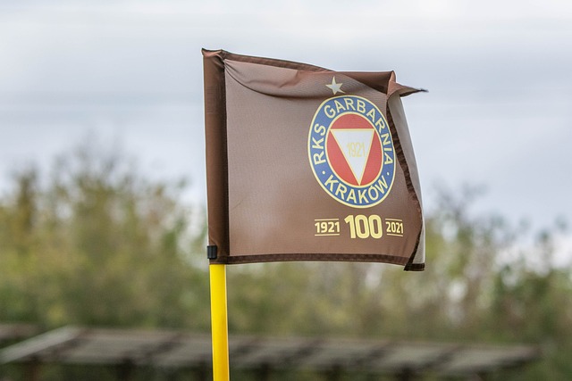 最终进入红 最终进入红