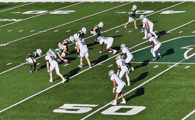 长最佳的选 长最佳的选