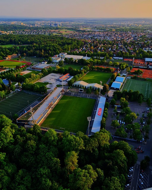 些球迷感到 些球迷感到