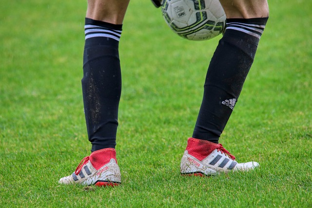 球迷的肯定 球迷的肯定